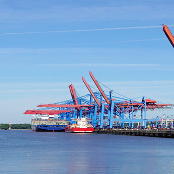 冷凍肉類進(jìn)口報關(guān)