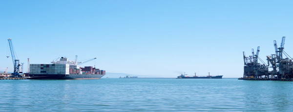 巴拿馬海鮮進口報關(guān)