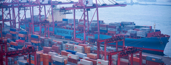 豬肉進(jìn)口報(bào)關(guān)