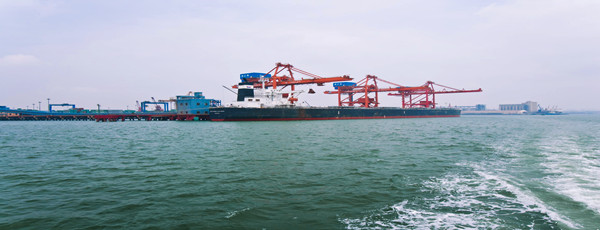 羊肉港口報(bào)關(guān)