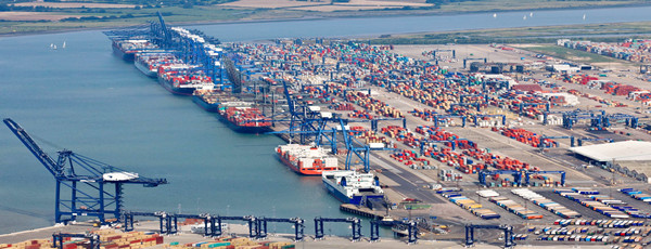 進(jìn)口羊肉報(bào)關(guān)代理