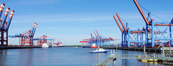 菠蘿進口報關(guān)公司