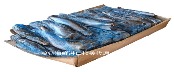 進(jìn)口報(bào)關(guān)代理