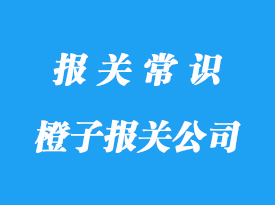 上海進(jìn)口橙子報關(guān)公司:南非等國家橙子清關(guān)注意事項